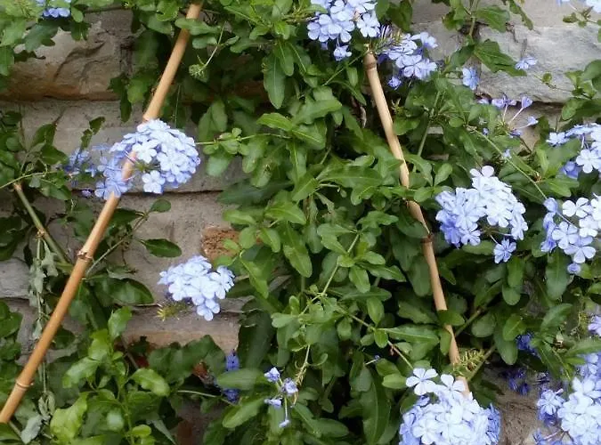 Degli Dei Da Ico Penzion