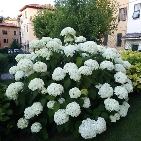 Гостевой дом Degli Dei Da Ico Монцуно