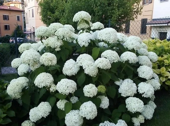 Gæstehus Degli Dei Da Ico Monzuno